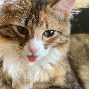 Meet your Posher, Alma